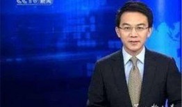 石家庄学区爆料新闻联播,教育资源优化与区域发展新篇章